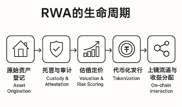 加密货币投资指南：抓住11月的关键机会与风险