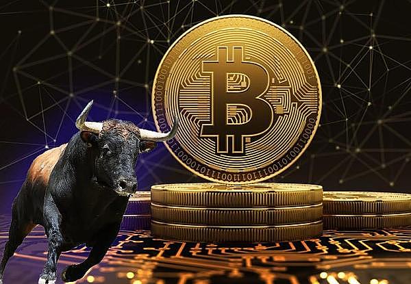 狗狗币真要凉了吗？市场动荡下的生存之道