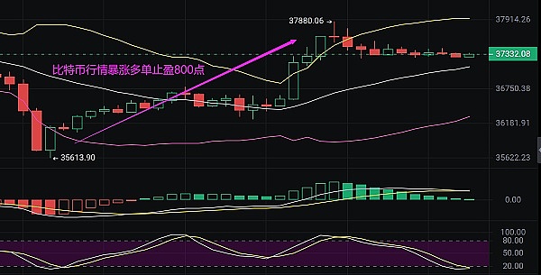 比特币生态狂欢：投资新风口还是泡沫前兆？
